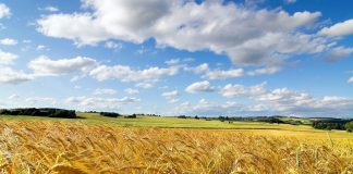 Jag tror att Ukrainakriget snart kommer att ta slut