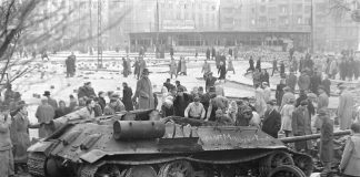 Solidaritet eller rysshat?