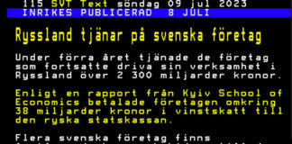 SVENSKA FÖRETAG I RYSSLAND