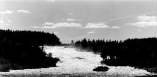 Storforsen juni 1977