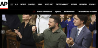 TOBIAS LJUNGVALL OM TRUDEAUS TRUBBEL