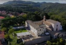 TOLFA INTERNATIONAL FORUM