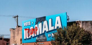 MALIN EKMAN: DET VAR INTE BARA EKONOMIN OCH MIGRATIONEN