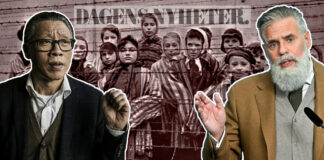 Tobias Hübinette, Christer Mattsson, DN och rasismen