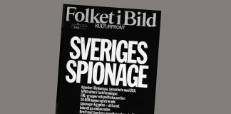 Tom Carlson: Hur jag blev den jag blev – aktivisten