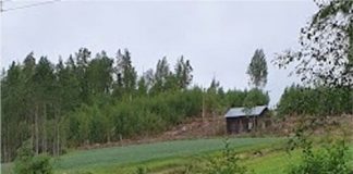 Åldern är inte bara en siffra