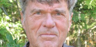 När alla tycker lika, tänker ingen