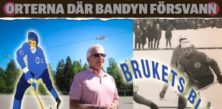 En märklig bandydynasti