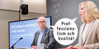 Det nya medie-klassamhället